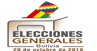BOLIVIA | Más de 11 mil efectivos de las FF.AA. resguardarán Elecciones Generales