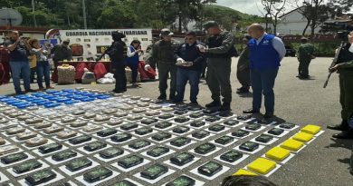 Venezuela ha incautado más de 28 mil kilos de droga desde Colombia en lo que va de año