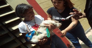 Más de 150 mascotas se beneficiaron de jornada veterinaria en la parroquia Coche