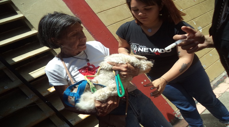 Más de 150 mascotas se beneficiaron de jornada veterinaria en la parroquia Coche
