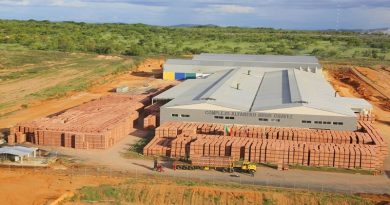 Complejo Alfarero Hugo Chávez aumentará producción a 40 mil bloques diarios