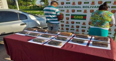 Incautan 14 panelas de presunta Marihuana en vehículo particular Ciudad Bolívar
