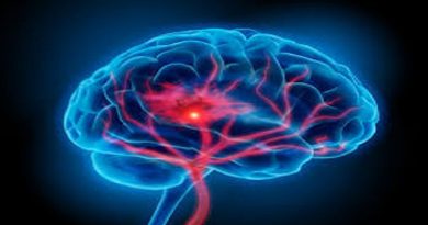 Consumo de albahaca previene la enfermedad de Alzheimer