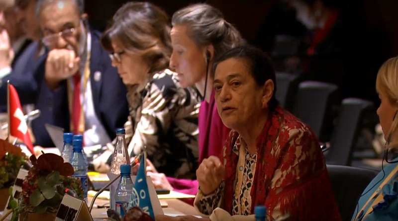 Consejo Mundial por la Paz denunció que América Latina es víctima de políticas intervencionistas por parte de EE.UU.