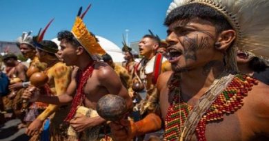 Al menos 26 aldeas indígenas de Brasil exigen a Bolsonaro demarcación de territorios nativos