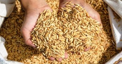 José Manuel Vásquez: Venezuela cuenta con un sistema económico que permite elevar al máximo el crecimiento productivo