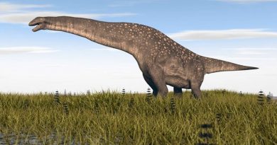 Encuentran en Argentina restos de un titanosaurio de 85 millones de años