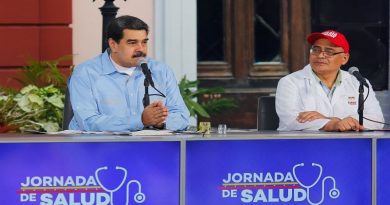 Jefe de Estado: Venezuela busca la paz y debe cesar conspiración y guarimba