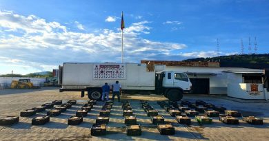 GNB incautó más de mil panelas de marihuana en Guarico