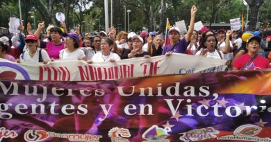 Mujeres revolucionarias se movilizan en el Día Internacional de la eliminación de la violencia contra la Mujer