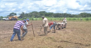 Producción de Soya garantiza acceso a la alimentación en Trujillo