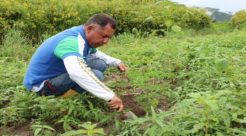 Proponen construir red para fortalecer agroecología en el país