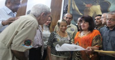 Palmeros de Chacao y Parranda de Los Santos Inocentes son declarados Expresionesde Buenas Prácticas  