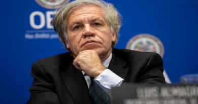 Comunicado: ALBA-TCP advierte sobre peligrosa injerencia de OEA en elecciones de Dominica