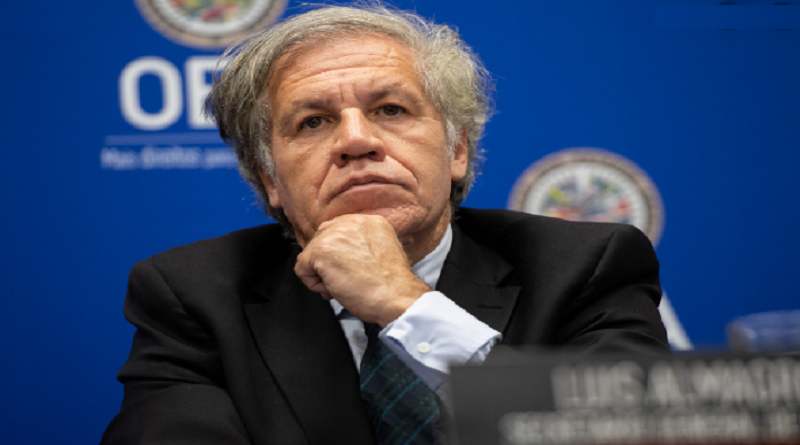 Comunicado: ALBA-TCP advierte sobre peligrosa injerencia de OEA en elecciones de Dominica