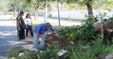 Jornada de limpieza y embellecimiento avanza en la Avenida Principal de La Mora 2 en Aragua