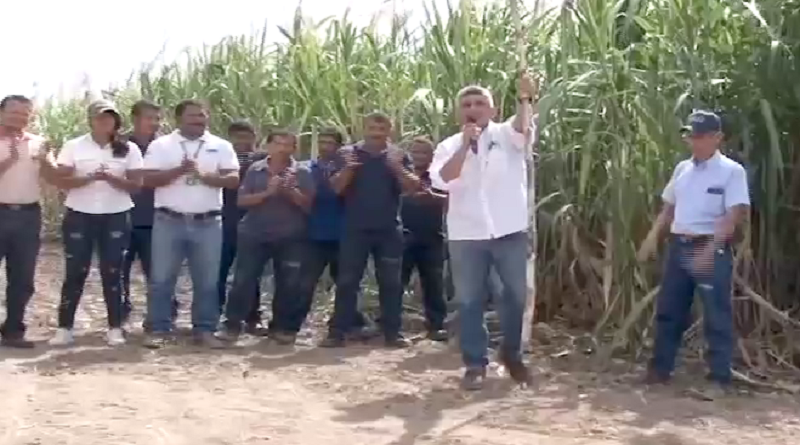Portuguesa está lista para zafra de 200 hectáreas de Caña de Azúcar (Fotograma VTV)