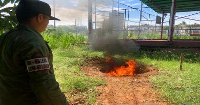 GNB incineró más de 3 kilogramos de drogas en el estado Bolívar