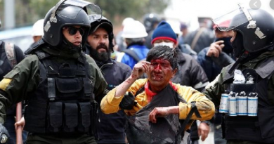 Bolivia: Suspenden por falta de quórum sesión de Diputados en medio de caos por golpe de Estado