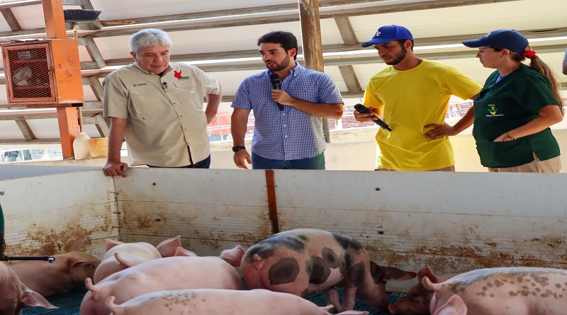Convenio con Porcinos del Alba permite la cría de más de 50 lechones