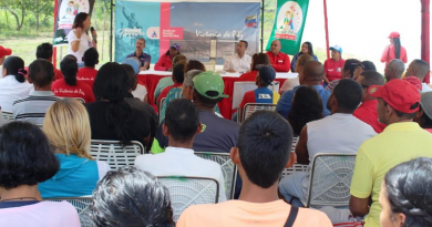 Plan Siembra de Leguminosas en municipio Ribas producirá 15 hectáreas de frijol (Foto Alcaldía Bolivariana Ribas)
