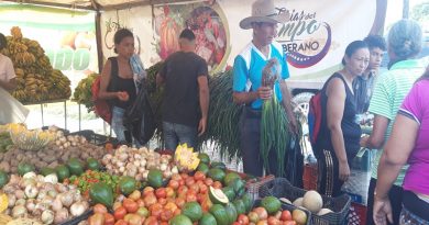 Feria del Campo Soberano abasteció a mil 500 familias de Base de Misiones en Barinas