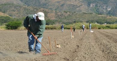 Aragua llevará a cabo segunda edición de Jornadas Técnicas de Producción Vegetal 2019