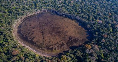 Imágenes satelitales muestran rápida deforestación en Reserva Morombí Paraguay