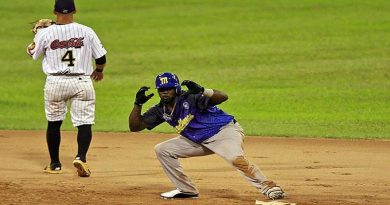 Leones y Magallanes dividieron en la capital