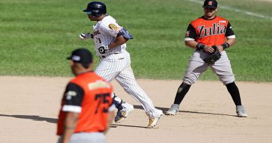 Leones y Águilas dividieron en jornada dominical