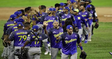 Magallanes se metió en la postemporada con jonrón de Raúl Navarro