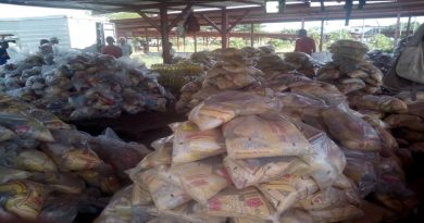 Ferias del Campo Soberano atendió a 10.781 familias en Cojedes