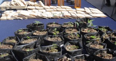 Crean red de semilleristas en Miranda como parte de la Alianza Científico-Campesina