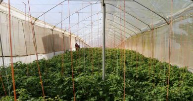 Productores de Bioinsumos abordarán en Yaracuy métodos eficaces para combatir plagas en agricultura