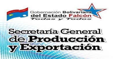 Gobierno de Falcón inició operaciones de cargas aéreas con Panamá