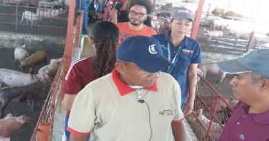 Empresa Servipork trabaja en la producción de 350 toneladas de embutidos para la temporada decembrina