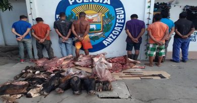 Funcionarios de PoliAnzoátegui capturaron a ocho sujetos por abigeato
