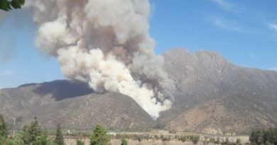 Incendio forestal afectaron 20 hectáreas en comuna de Pirque Chile