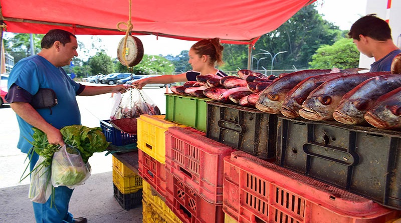 Alcaldía de Guaicaipuro impulsa la soberanía alimentaria en las siete parroquias que componen la municipalidad