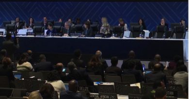 Venezuela participa en Comité de Salvaguardia del Patrimonio Cultural Inmaterial