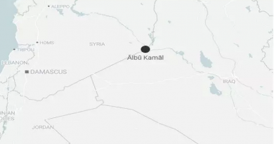 Al menos ocho muertos en ataques aéreos contra una milicia proiraní en Siria