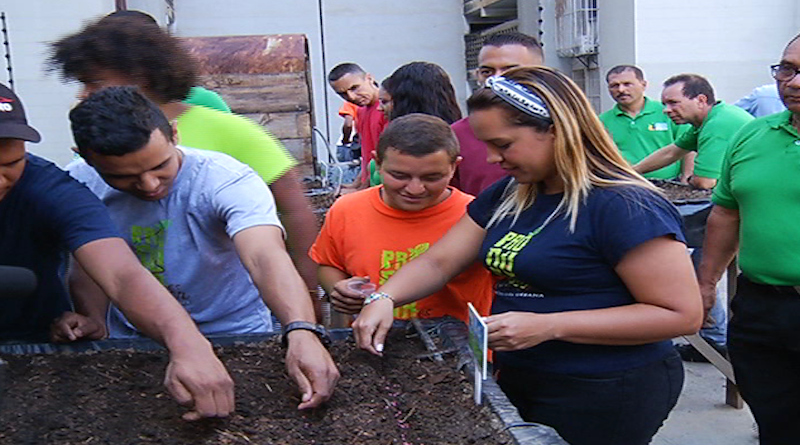 Min. Agricultura Urbana activa 90 mesas organopónicas en Espacio Productivo Zamora I