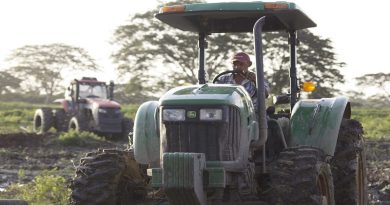 Banco del Tesoro entregó más de Bs. 120 mil millones al sector agropecuario durante 2019