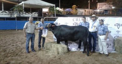 IV Feria Bufalina muestra sus potencialidades en FISS 2020