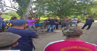 Inspeccionadas 700 hectáreas de musáceas sembradas en Carabobo