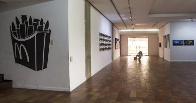 La obra “Precarios” de Alejandra Mejía participará en la III Bienal del Sur