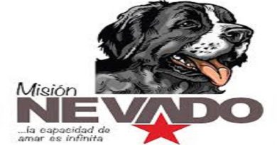 Misión Nevado celebra sus seis años de labor ecosocialista de rescate y protección animal