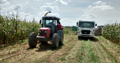 Pronostican incremento de producción en Barinas este 2020
