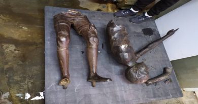 Vándalos destruyen esculturas del Bulevar de Sabana Grande