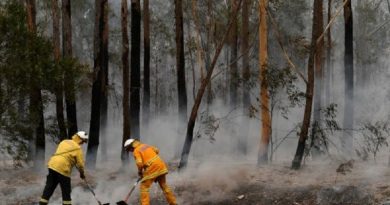 Australia anuncia ayuda para cubrir daños generados por incendios forestales